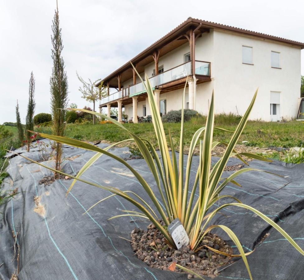 La Découverte, Jacuzzi, Sauna, et Terrasse avec vue sur lac à la campagne entre Toulouse et Auch Catonvielle Exterior foto